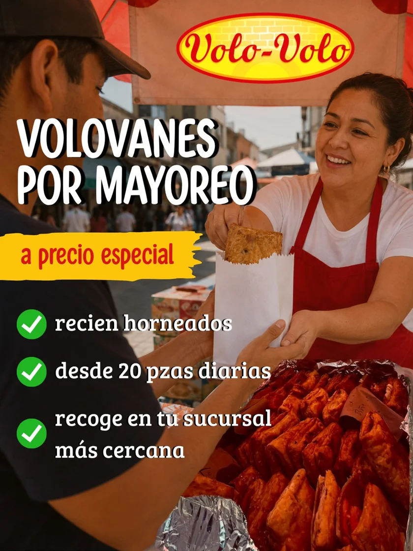 Programa de mayoreo Volo-Volo